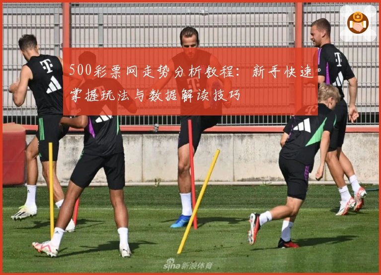 500彩票网走势分析教程：新手快速掌握玩法与数据解读技巧