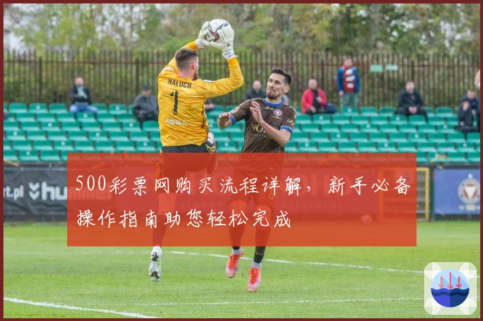 500彩票网购买流程详解，新手必备操作指南助您轻松完成