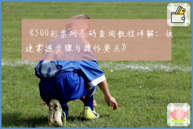《500彩票网号码查询教程详解：快速掌握步骤与操作要点》